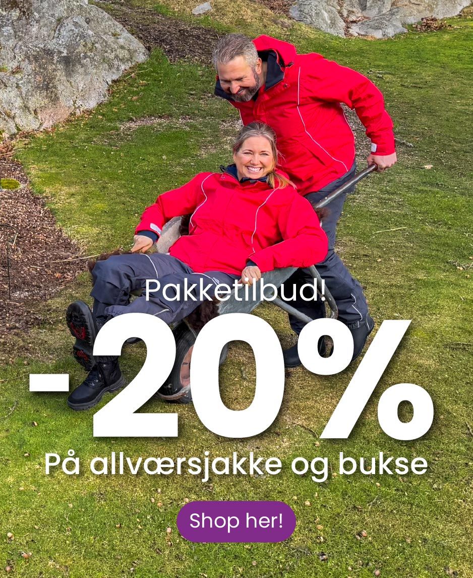 et utvalg vårsko ute i solen, hopper paradis