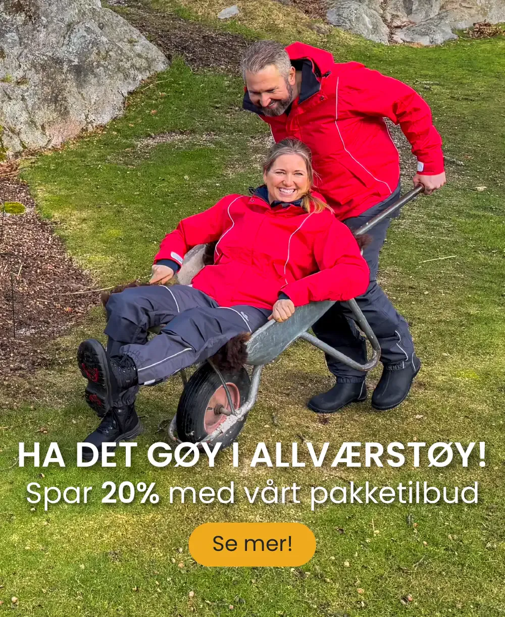 et utvalg vårsko ute i solen, hopper paradis